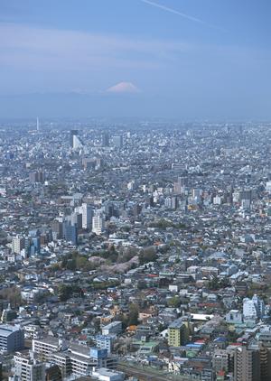 一戸建ての住宅ローンについても勉強できる